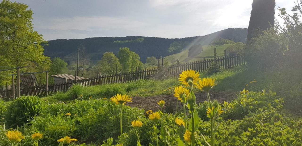 Pension Bergfrieden Шмаленберг Екстериор снимка