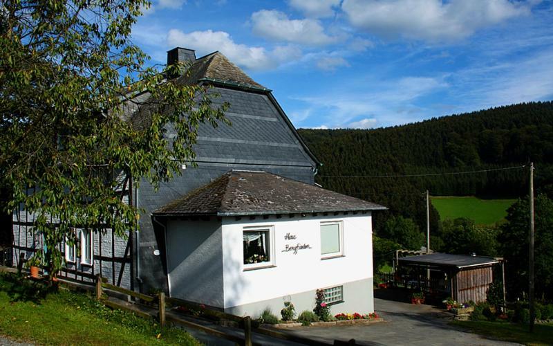 Pension Bergfrieden Шмаленберг Екстериор снимка