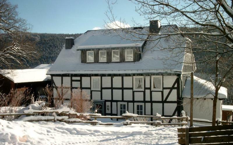 Pension Bergfrieden Шмаленберг Екстериор снимка