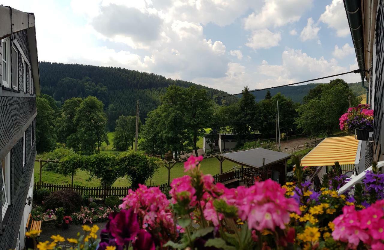 Pension Bergfrieden Шмаленберг Екстериор снимка